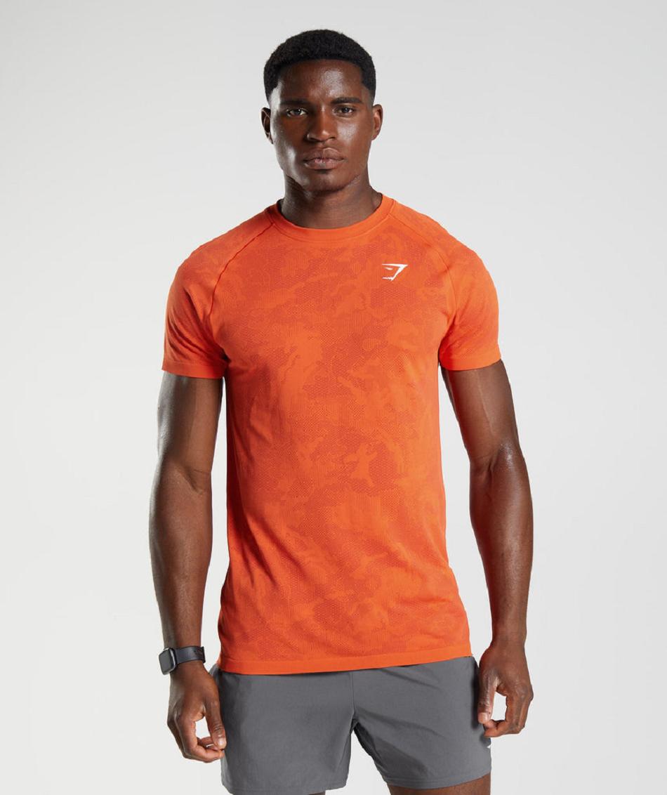 Gymshark Geo Seamless Muške T Shirts Crvene Crvene | HR 2489ILH